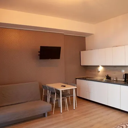 公寓 Slowackiego 卡托维兹